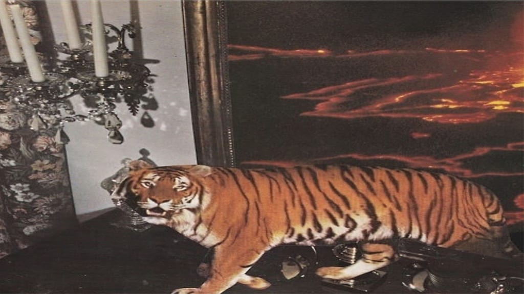 Reign Terror